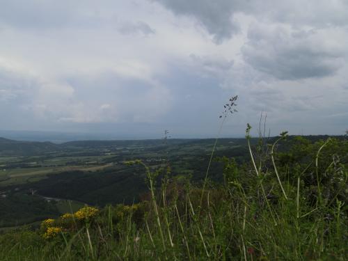 DJI_2846.JPG